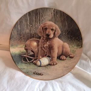 Golden Retriever Collector Plate. Rare & retired.